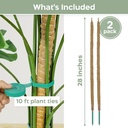2-pack-28-bendable-moss-pole-monstera-pl-2.jpg