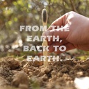 biodegradable-eco-friendly-natural-bambo-4.jpg