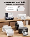 munbyn-4x6-direct-thermal-printer-label--3.jpg