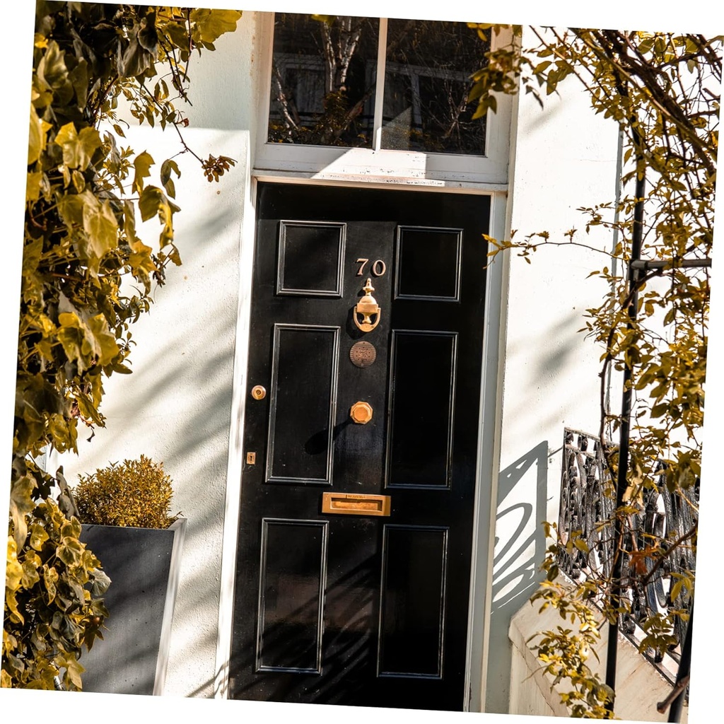 theft-door-viewer-large-viewing-angle-fo-4.jpg