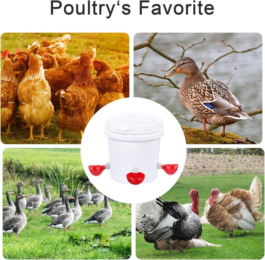 professional-chicken-waterer-cups-8-pack-6.jpg