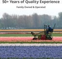 50-mixed-daffodil-bulbs-naturalizing-nar-4.jpg