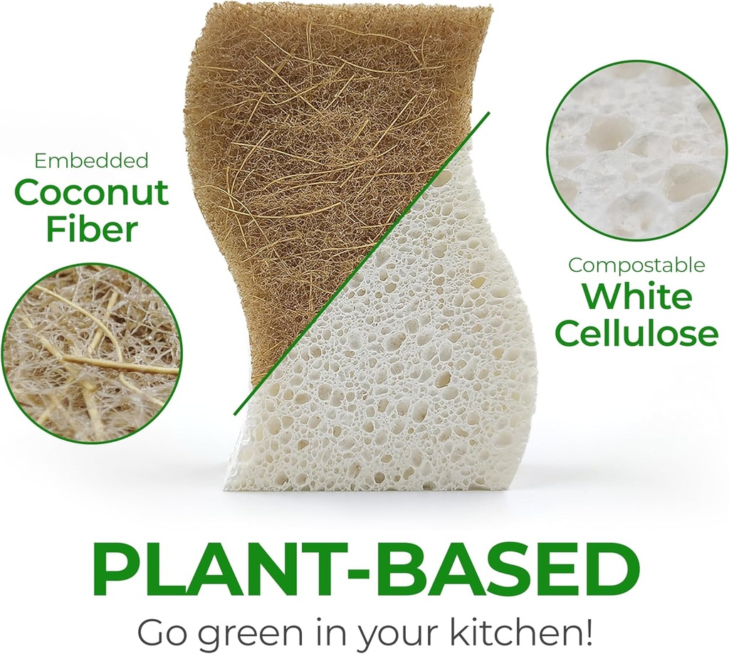 biodegradable-natural-kitchen-sponge---c-2.jpg