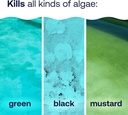 hth-67084-pool-care-algae-guard-advanced-3.jpg