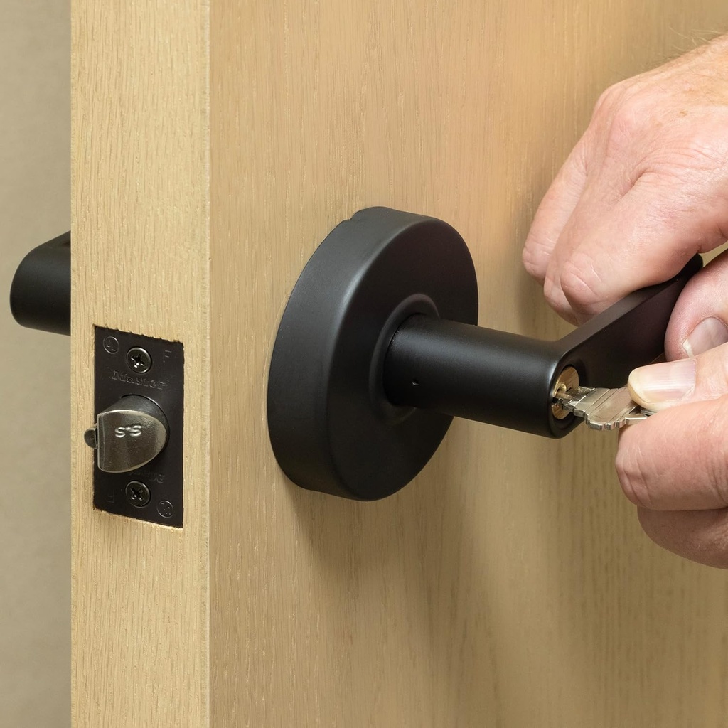master-lock-slchsr10b-heavy-duty-lever-s-2.jpg