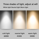 nordic-creative-simple-ceiling-fan-light-4.jpg