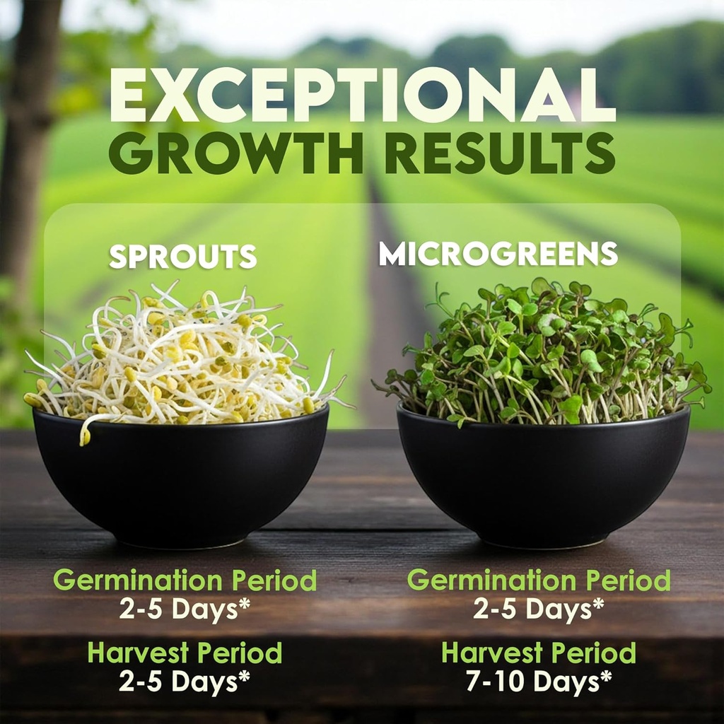 nature-jims-sprouts-organic-broccoli-see-5.jpg