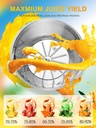 juicer-1200w-juicer-machine-4.jpg