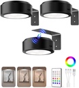 EZVALO Picture Lights for Wall, 2000mAh Rechargeable Battery Magnetic Poster Lights with 3 Color Temps & 12 RGB, Remote Dimmable Timer Painting Light, Wall Decor Light for Art Display, Frame (3 Pack)